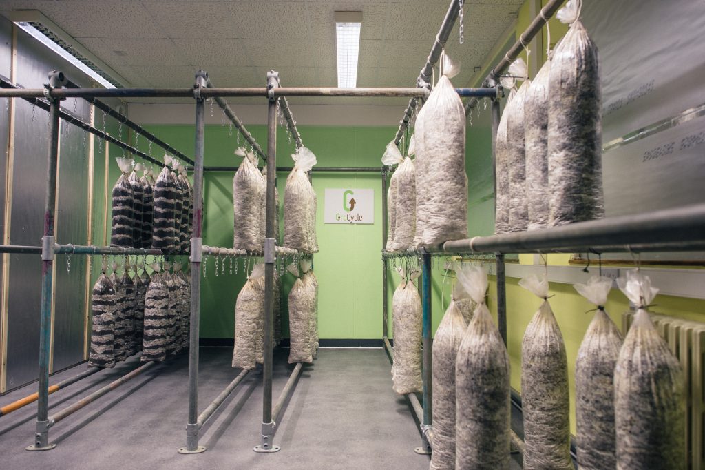 GroCycle Incubation Room